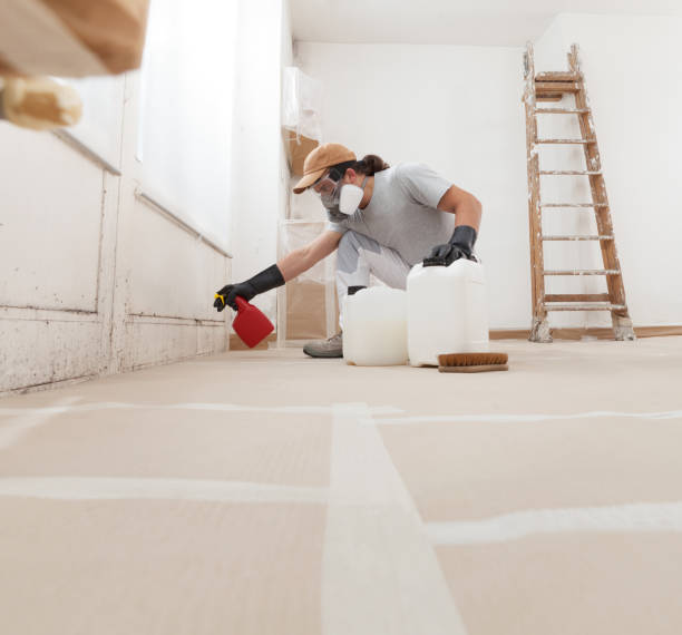 Best Industrial Mold Remediation  in Magalia, CA