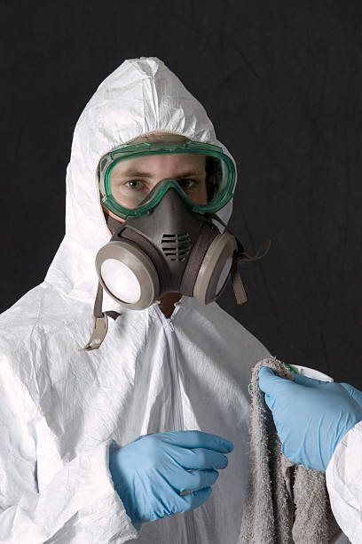 Best Basement Mold Removal  in Magalia, CA